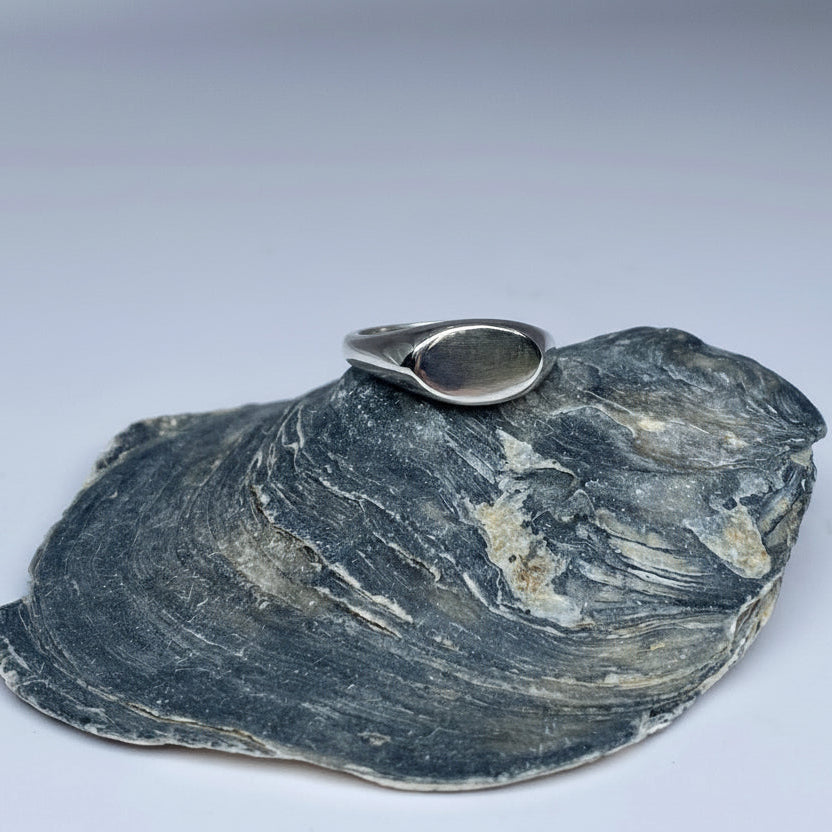Silver ring on a large gray shell against a light gray background