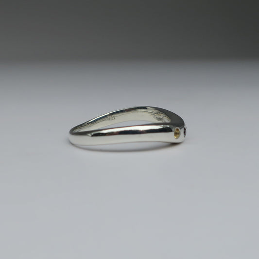 Silver ring on a white background