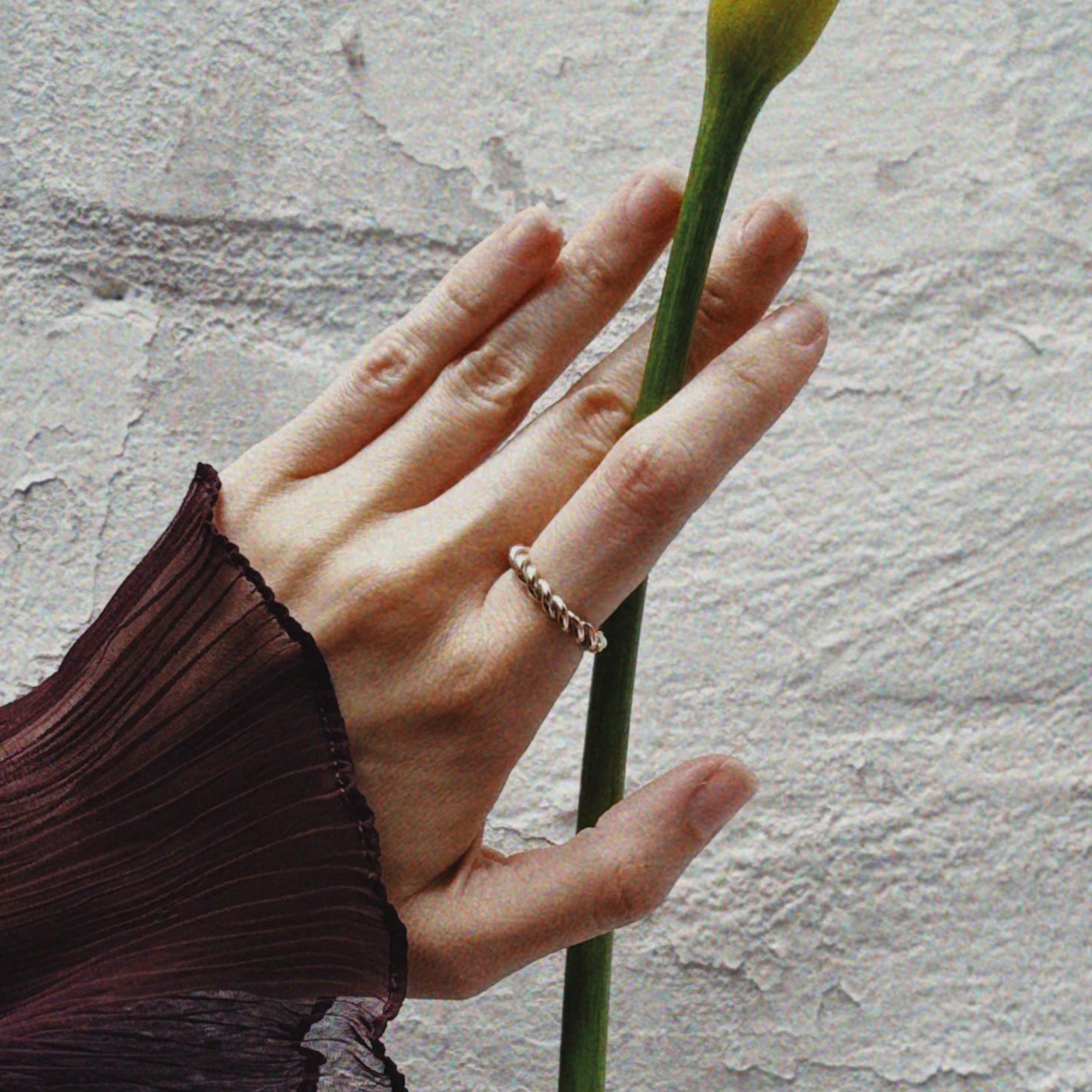 Hand holding a yellow flower against a textured wall.