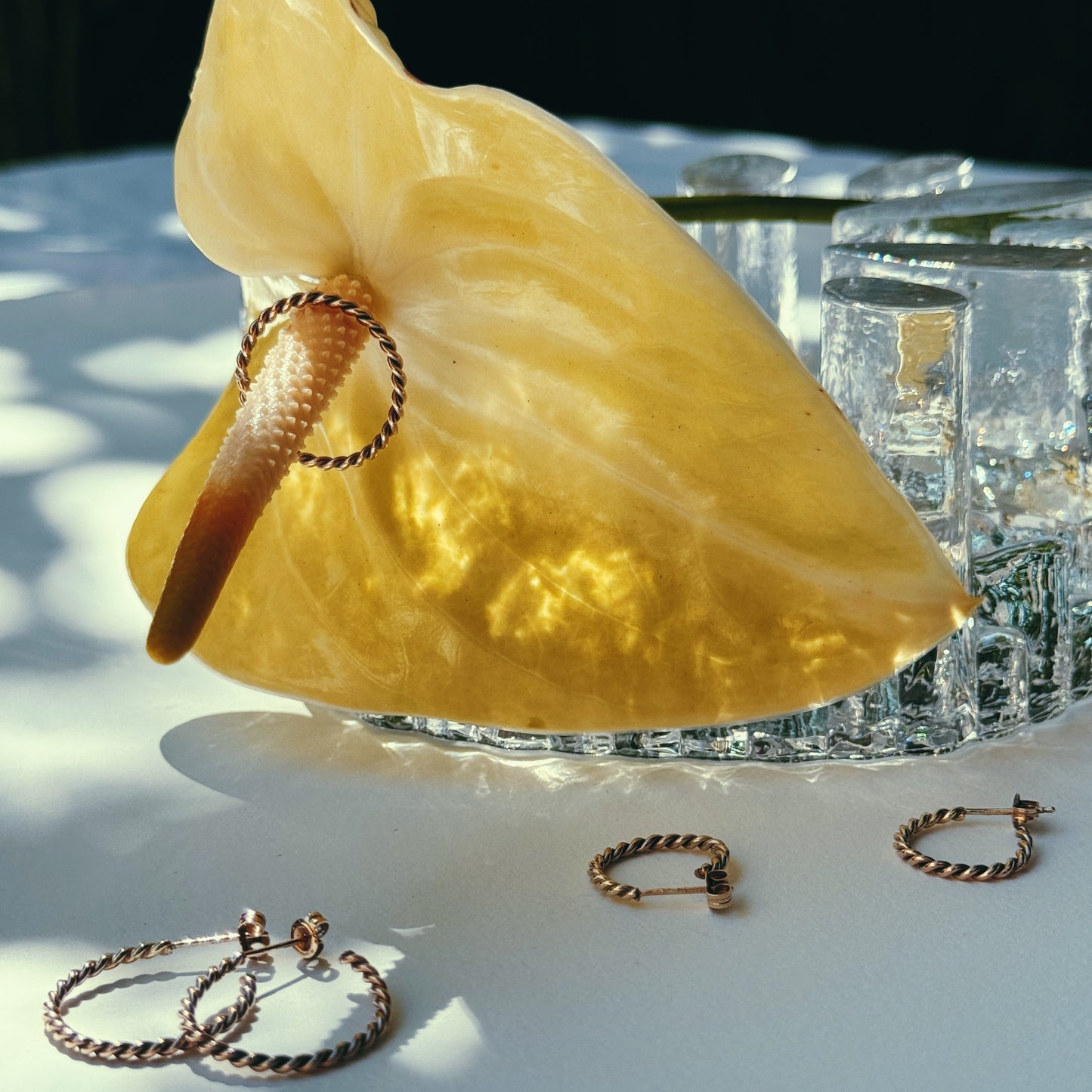 Fine Twist Earrings | Small