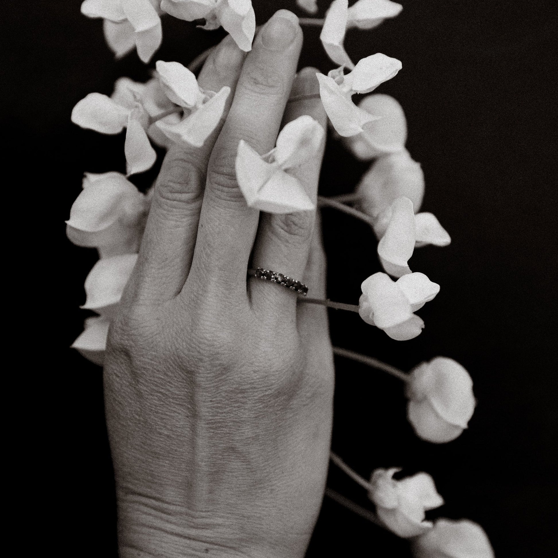Hand holding white flowers with a black background