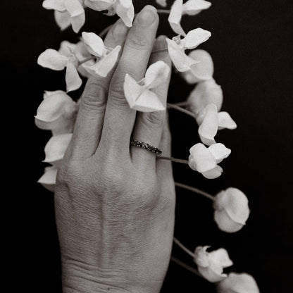 Hand holding white flowers with a black background