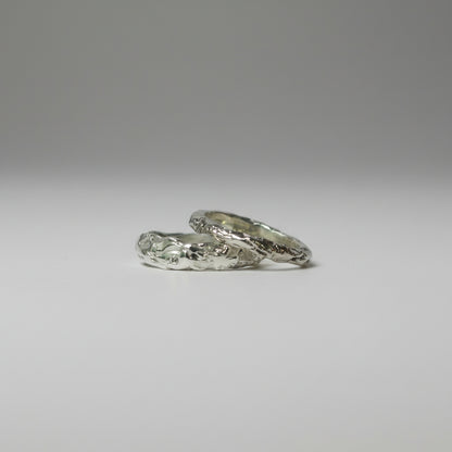 Two silver rings on a gray background