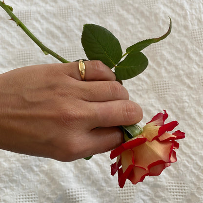Hand holding a red and white rose on a textured white background