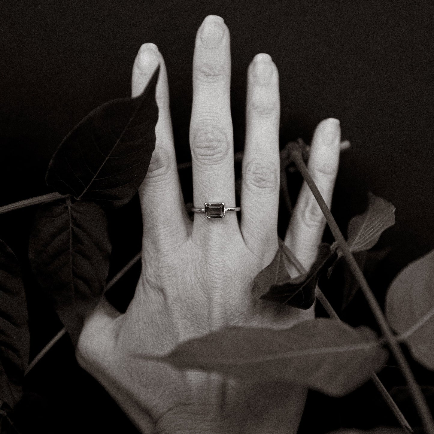 Hand with a ring on a dark background with leaves