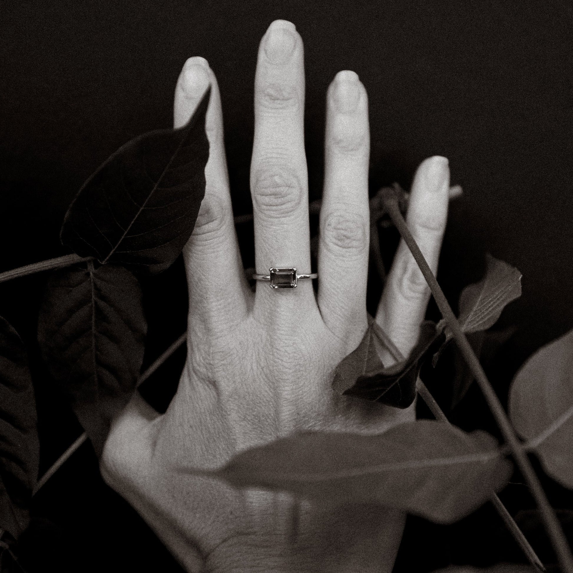 Hand with a ring on a dark background with leaves