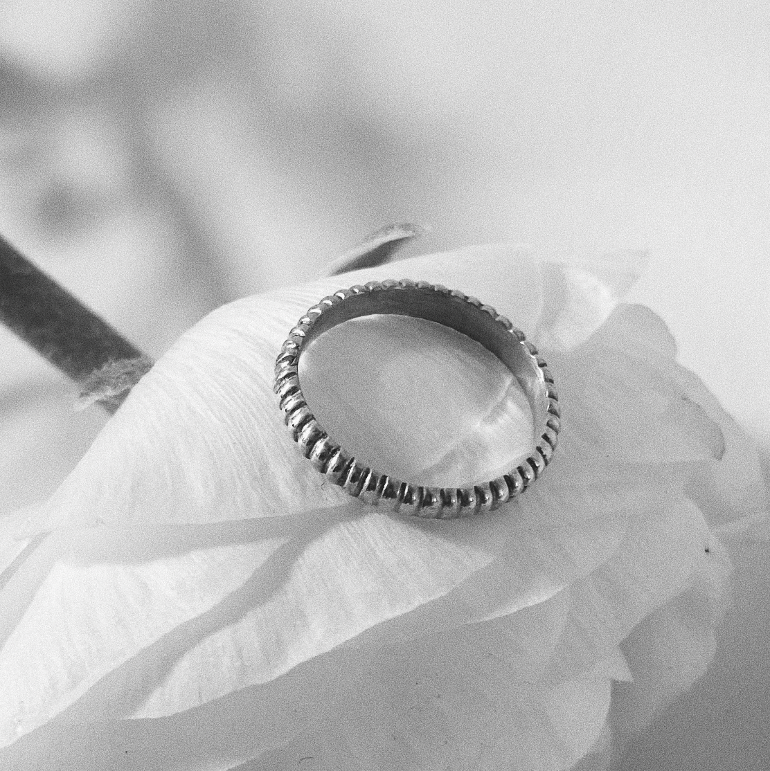 black and white image of a silver ring with line detail sitting atop a white flower.