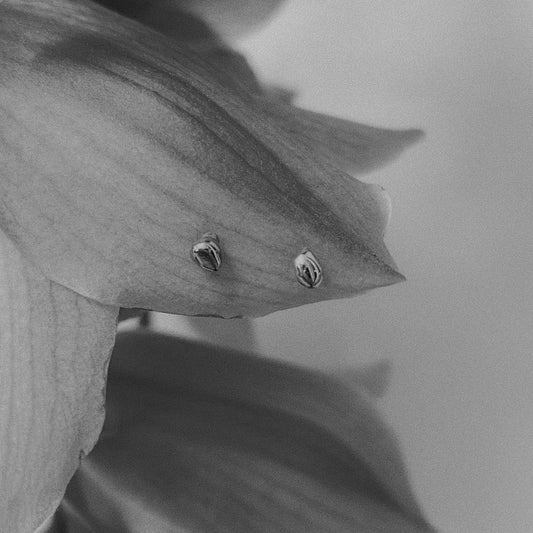 A black and white image of a lily flower with stud earrings placed on its petals.