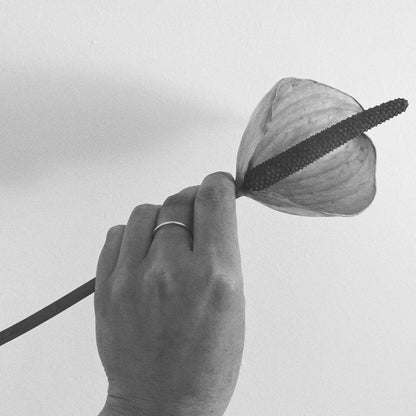 A hand holding a flower with a ring worn on the finger, against a white background.