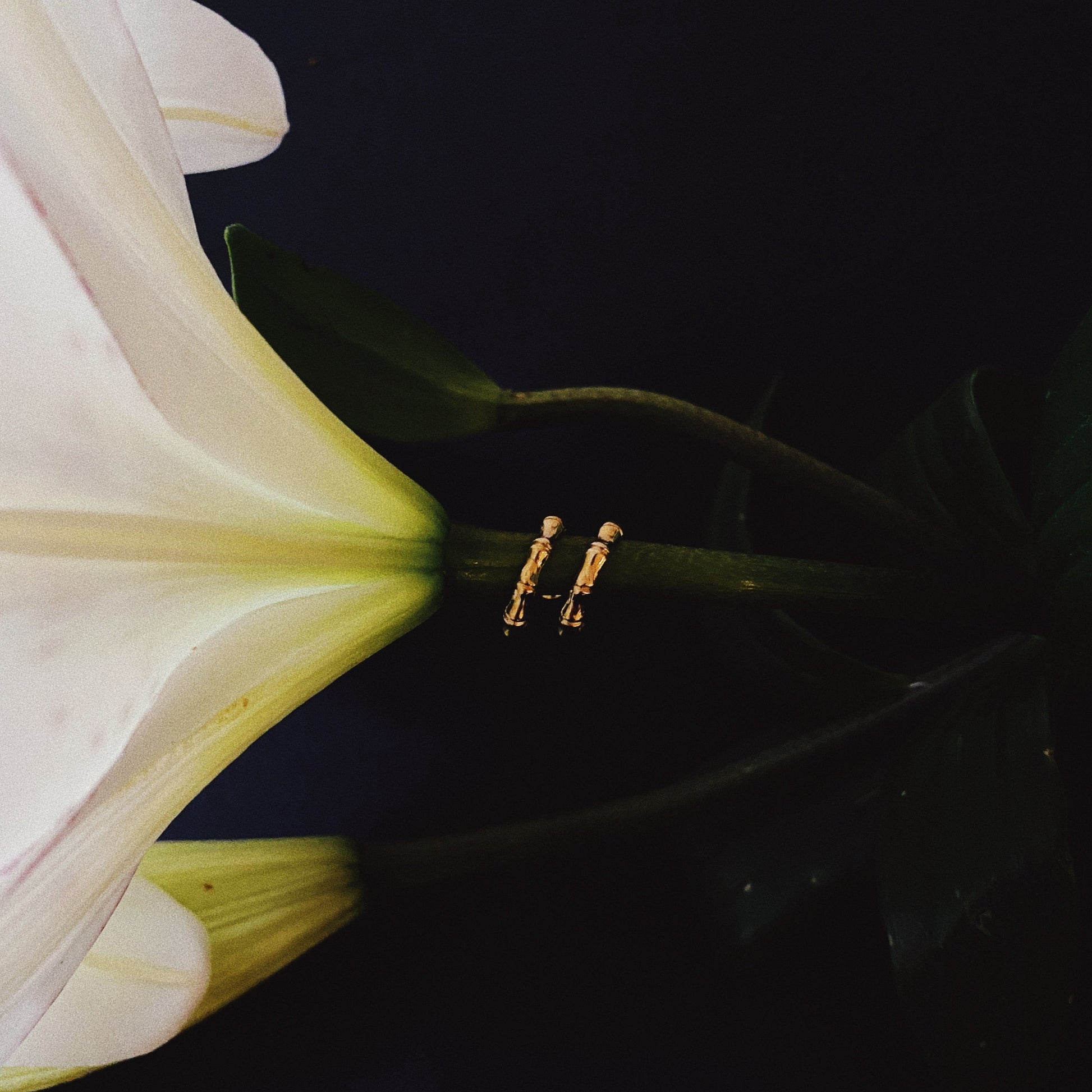 A close-up image of a pair of small hoop earrings with a bamboo pattern, featuring gold and silver colors, placed on a white lily-of-the-valley flower.